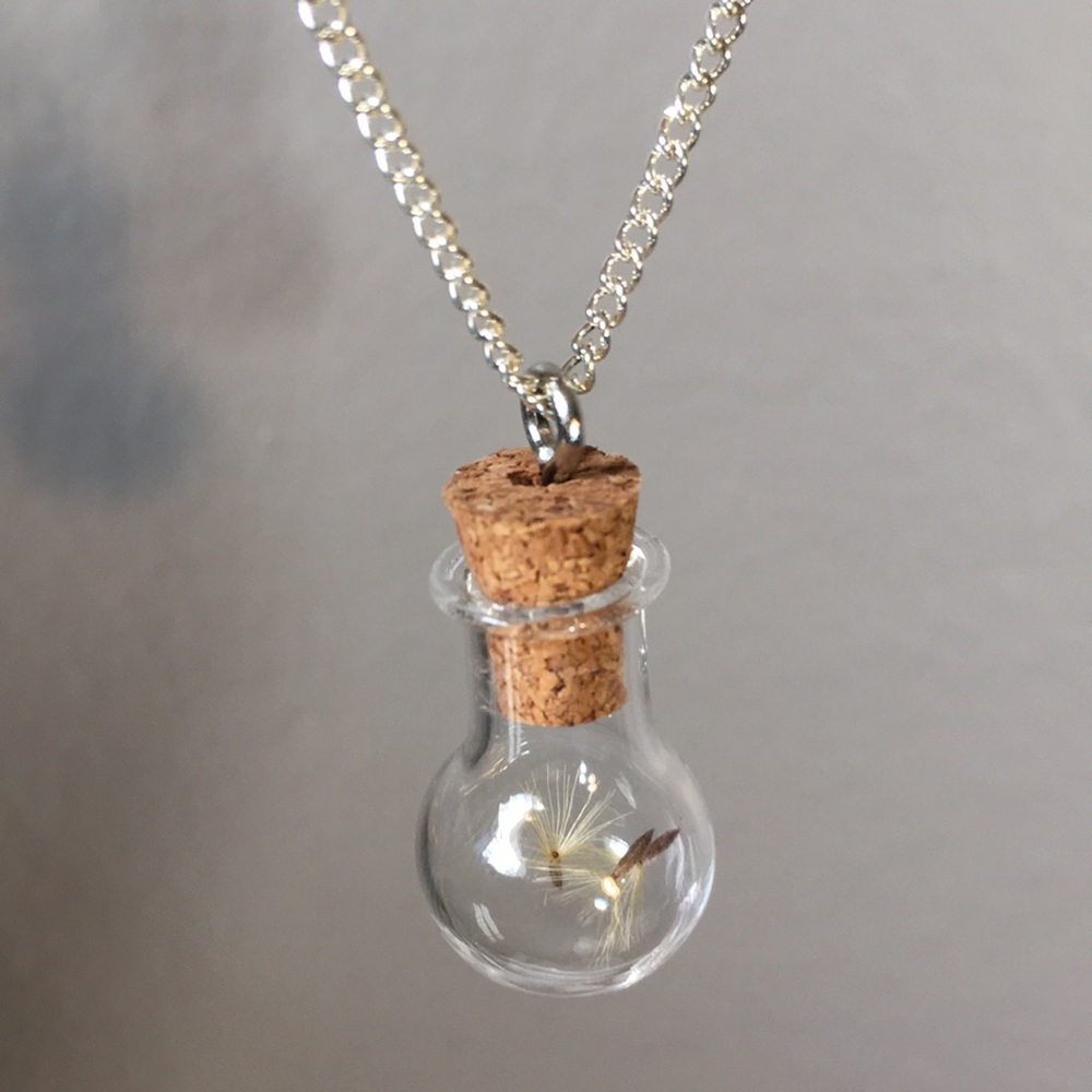 Three Wishes Dandelion Seed Glass Jar Necklace on silver chain NWT